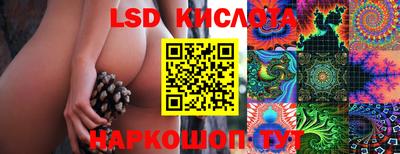 дмт Гусев