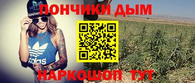 дмт Гусев