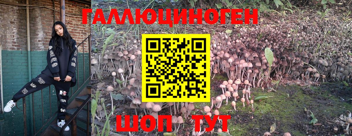 Галлюциногенные грибы мицелий  Вход с VPN  Мытищи 